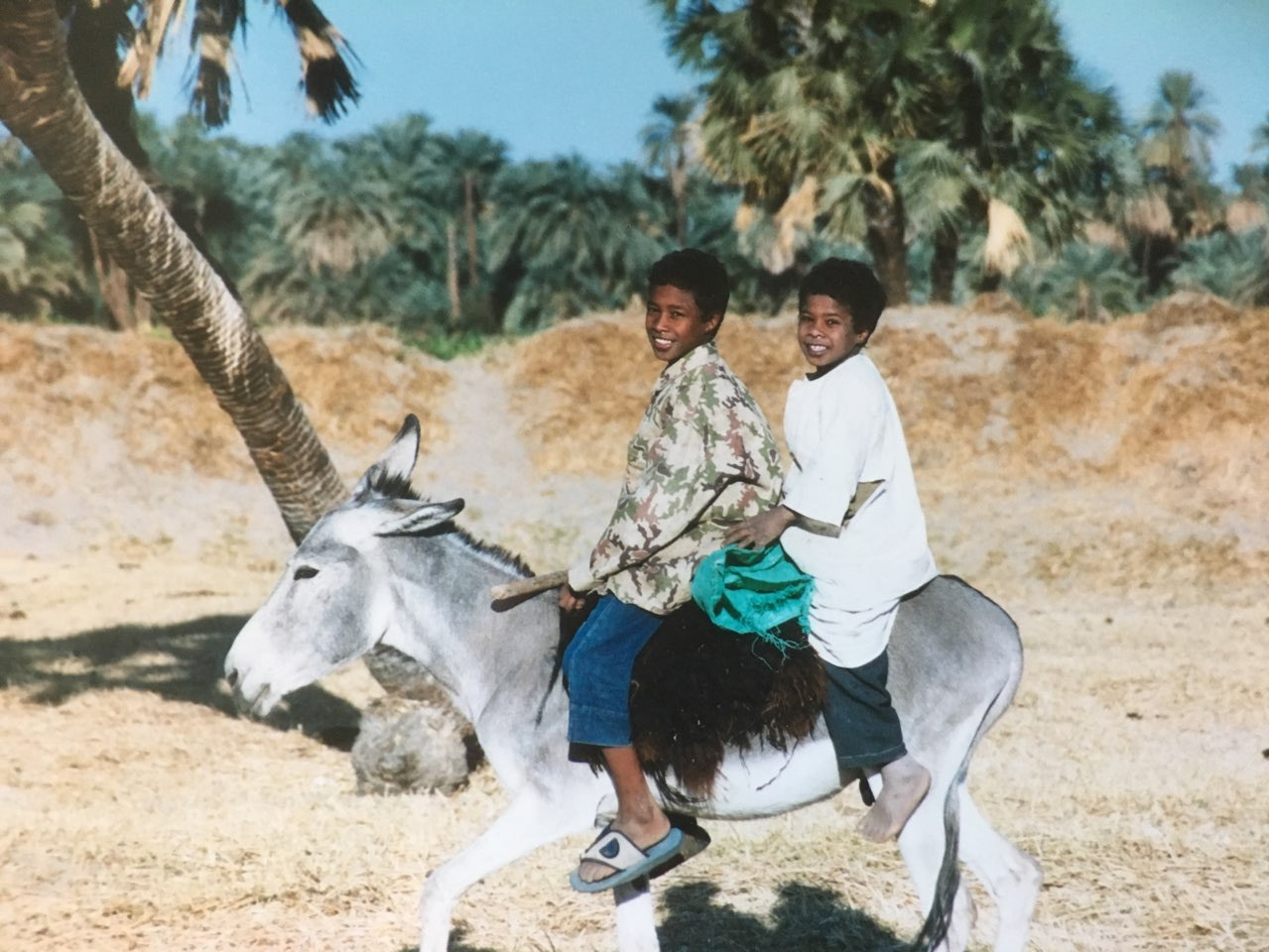 Boys and their donkey