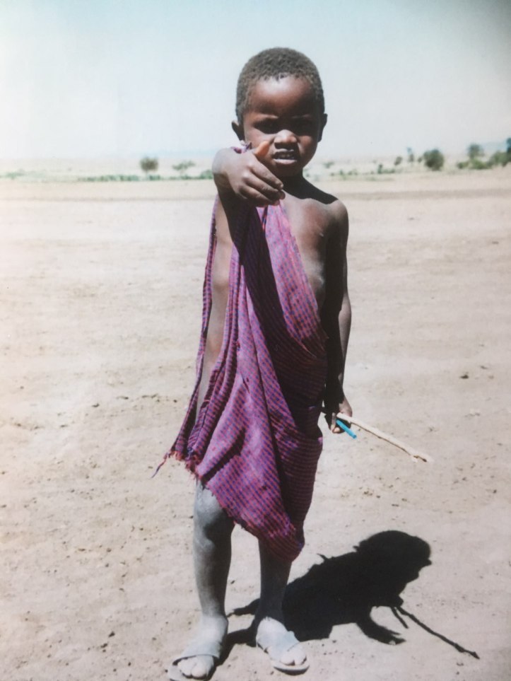 Massai boy herding cattle