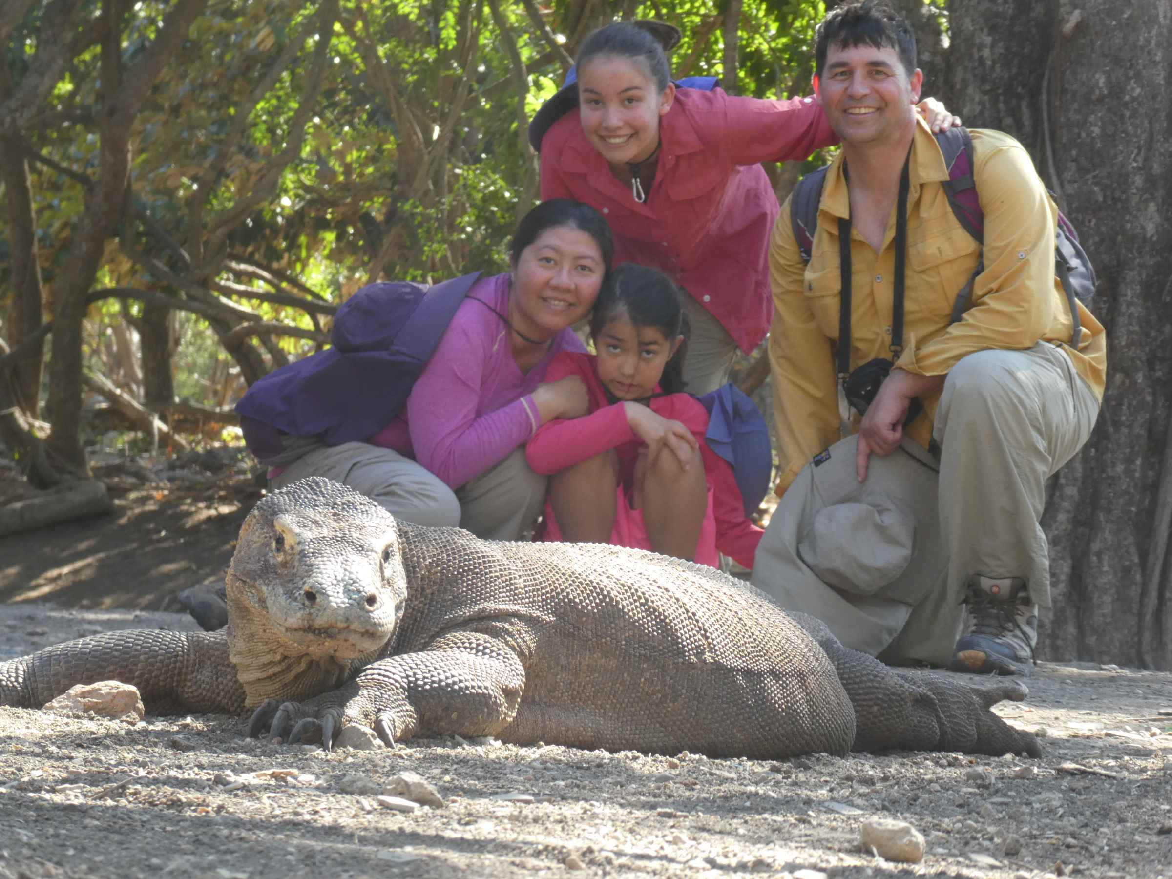 Komodo_Rinca_family1